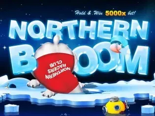 Northern Boom screenshot